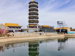 -金塔沙漠胡杨林景区