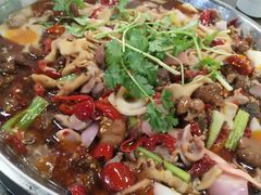 -黔江鸡杂火锅(红星路一段)