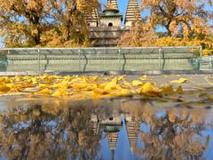 -北京石刻艺术博物馆(五塔寺)