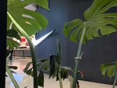 -THE WOODS 简餐 (国贸商城店)