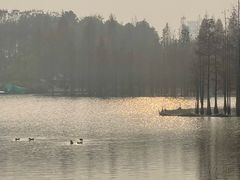 -白鹭湾湿地公园