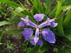-衡山汇·高级粤菜(霄云路店)
