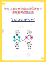 -安馨无忧月子中心(青秀店)