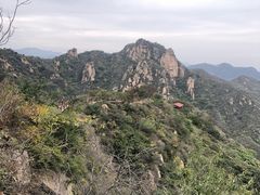 -大岭沟猕猴桃谷风景区