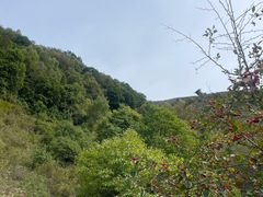 -灵山