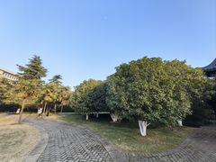 -明故宫遗址公园