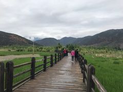 -泸沽湖国家级风景名胜区走婚桥