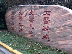 -西京医院