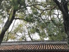 -秋霞圃
