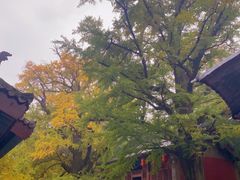 -晋祠公园