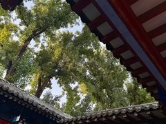 -中卫御苑福膳·养生局(圆明园店)
