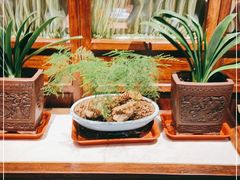 -小吊梨汤·北京菜·烤鸭(鸟巢店)