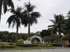 -金砂公园
