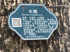 -天河儿童公园