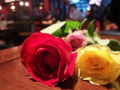-成都娃娃花园餐厅 (南艺旗舰店)