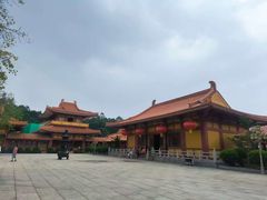 -三水森林公园