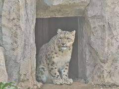 -青藏高原野生动物园