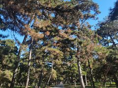 -北陵公园