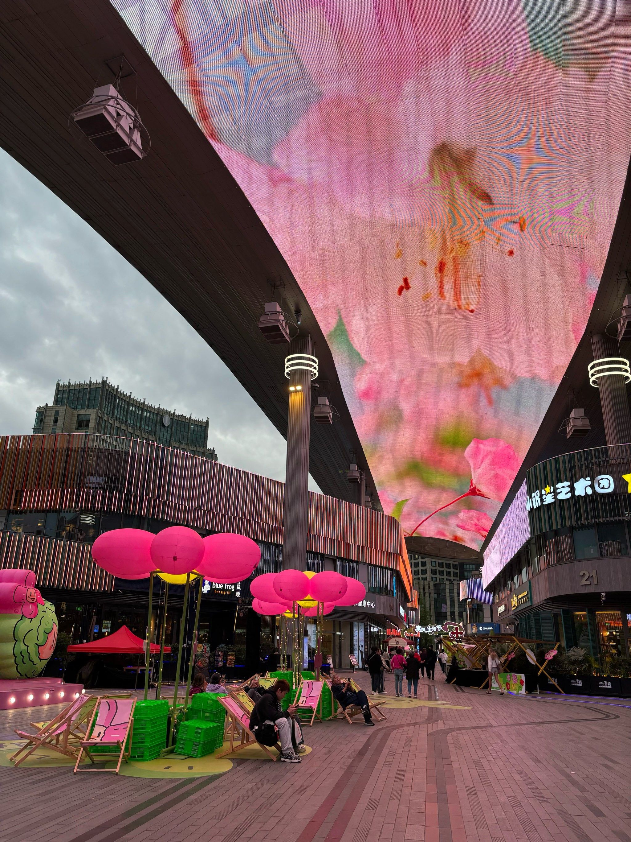 另外一段天幕街有萌宠,毛孩子聚会.
虽然说苏州没什