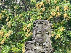 -国恩寺