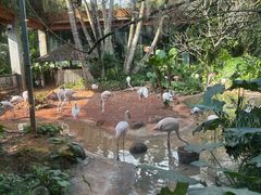 -海南热带野生动植物园