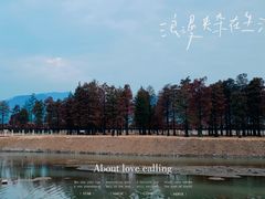 -四明湖