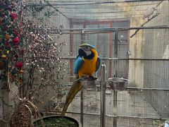 -观桥阁(锦溪店)