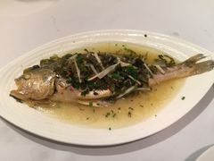 -老洋房花园饭店(绍兴路店)