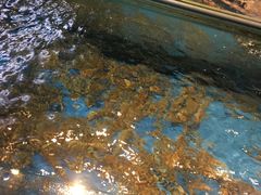 -海九澎湖海鲜餐厅