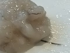 -凤吉园乌拉满族火锅中华老字号(繁荣路店)