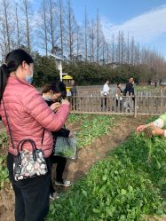 点击看大图 -前小桔亲子创意农场·草莓采摘·露营烧烤
