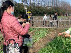 -前小桔亲子创意农场·草莓采摘·露营烧烤