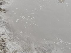 -武清南湖绿博园