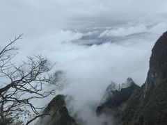 -张家界天门山国家森林公园