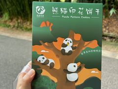 -成都大熊猫繁育研究基地