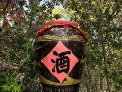 -爱新觉罗皇家博物院