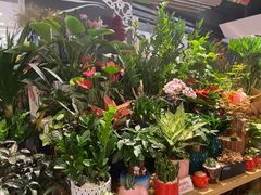 -The open life(万象城店)