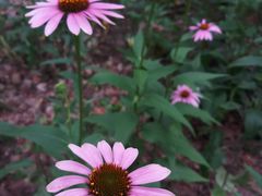 -苏州河梦清园环保主题公园