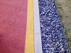 -九龙湖公园