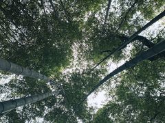 -穹窿山景区