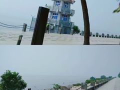 -福田红树林生态公园
