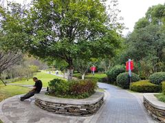 -桃花岭景区