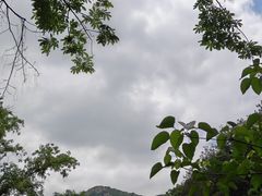-木兰云雾山