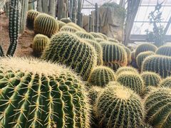 -南山植物园