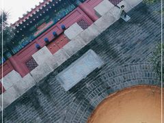 -云岗森林公园