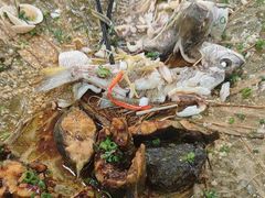 -叙兴楼(礼东财记农庄分店)