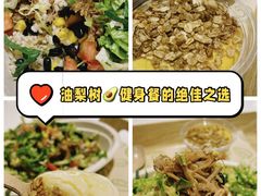 -油梨树 AVOCADO TREE(亮马桥店)