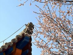 -西宁市东关清真大寺