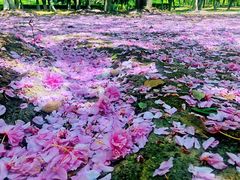 -白塘生态植物园