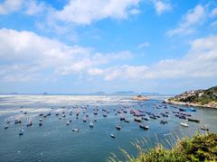 -枸杞岛